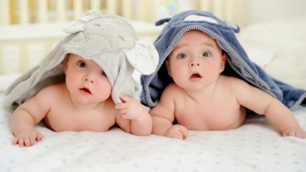 Trik agar Memiliki Anak Kembar