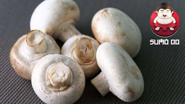 jamur putih