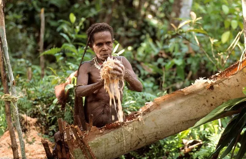 Suku-Fore-Papua