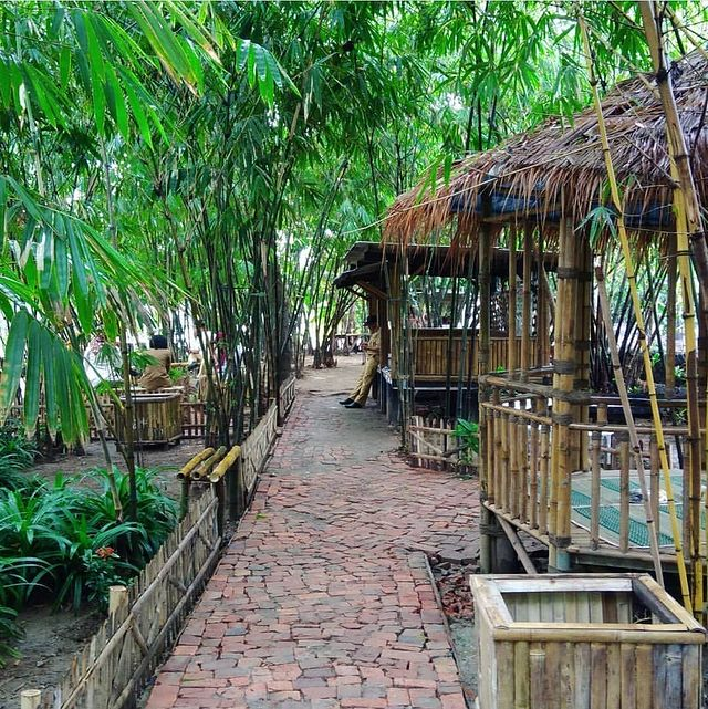 Wisata Hutan Bambu  Indonesia Berasa Di Jepang