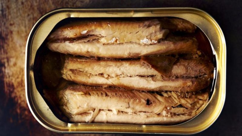 Ikan Sarden Memiliki Manfaat Luar Biasa