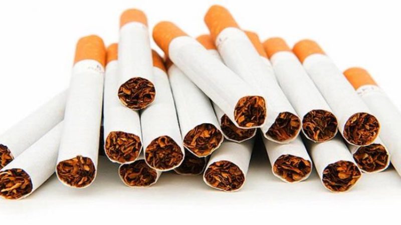 Fakta dan Mitos Seputar Tembakau yang Wajib Anda Ketahui