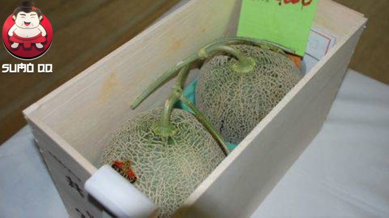 Dua Melon Yubari di Jepang Laku Terjual Rp 650 Juta