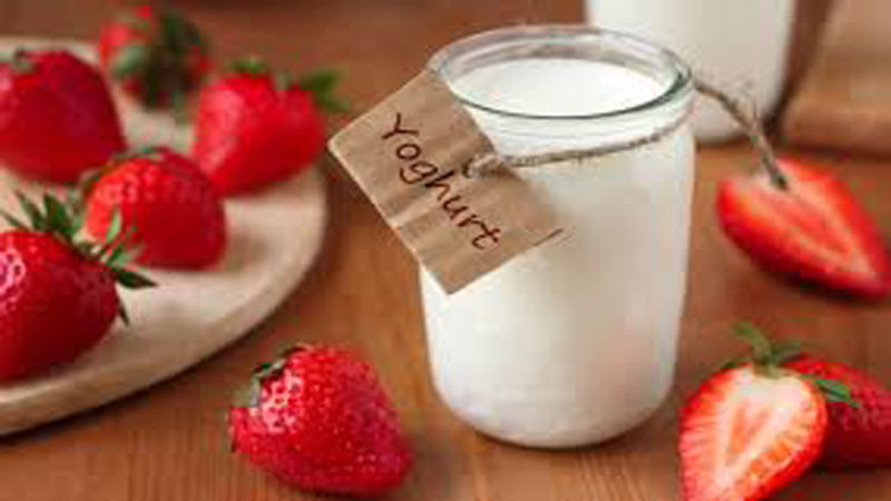 Yoghurt Untuk Kesehatan Anda