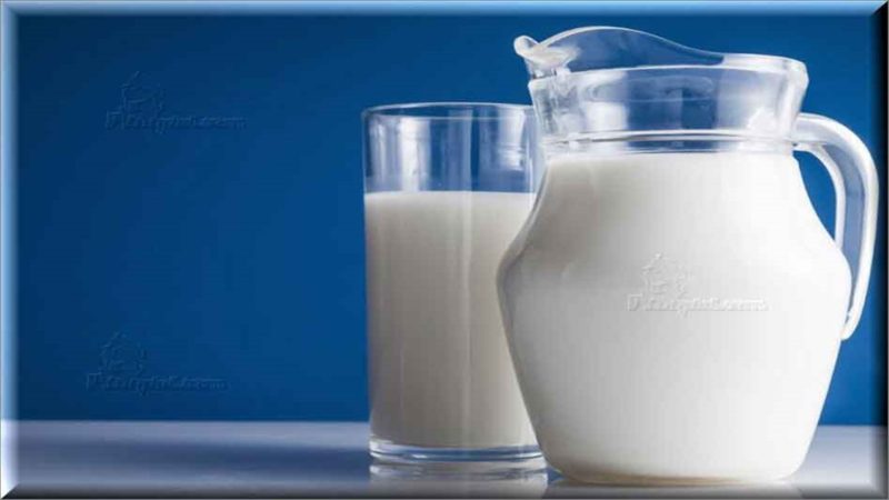 Mitos Tentang Susu yang Dipercaya Masyarakat