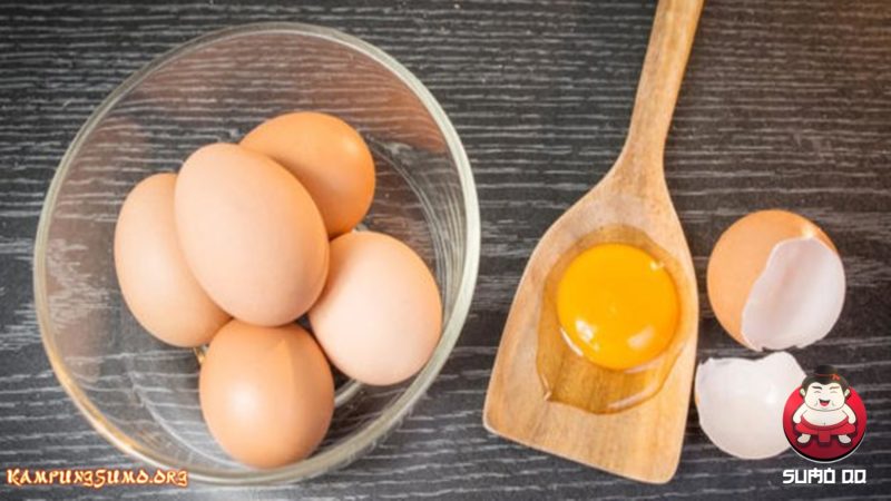 Konsumsi Telur Tidak Meningkatkan Risiko Stroke