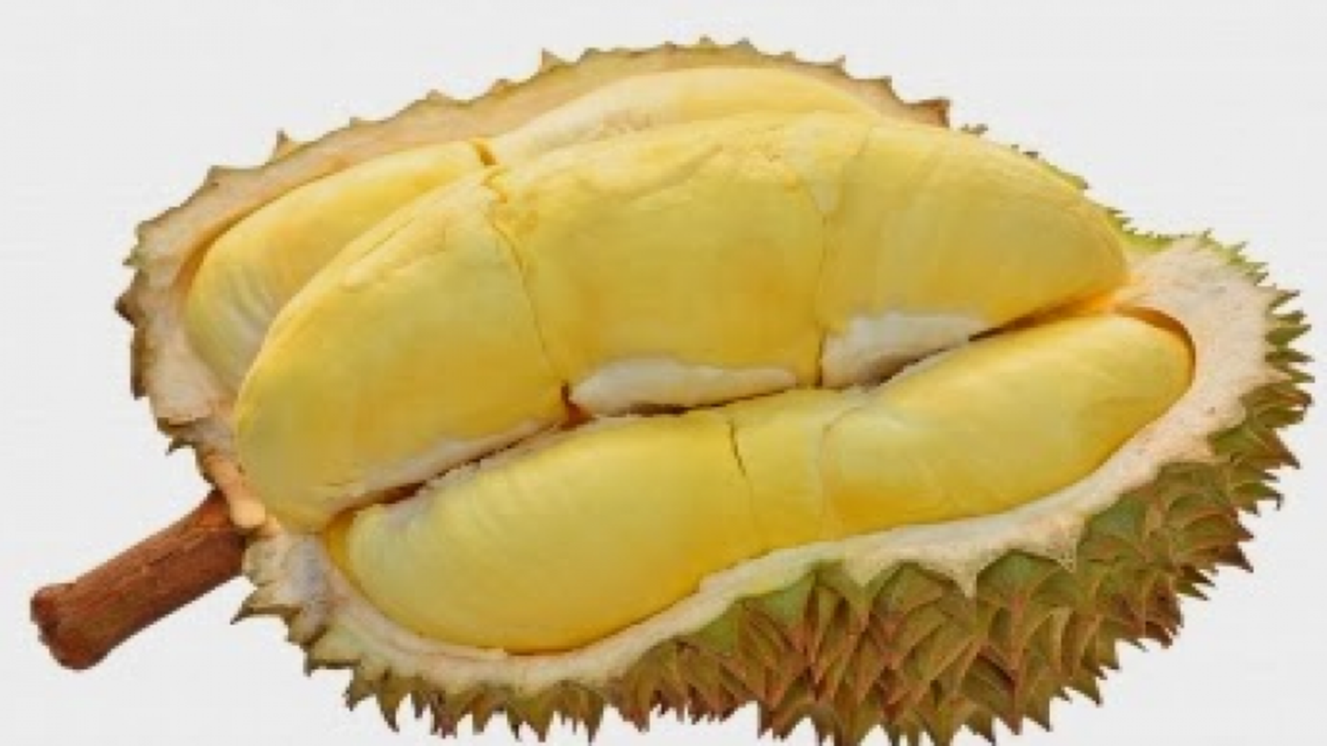 Manfaat Buah Durian Yang Tidak Kamu Ketahui