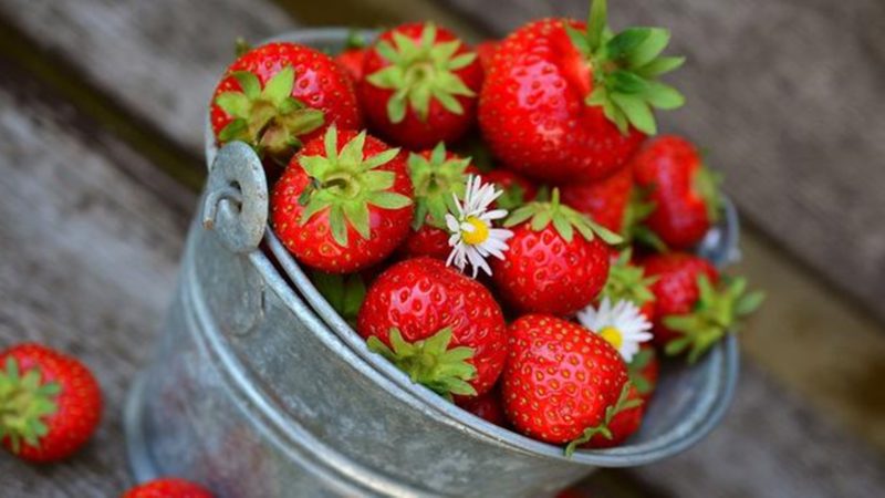 Strawberry Berikan Banyak Manfaat Untuk Kesehatan