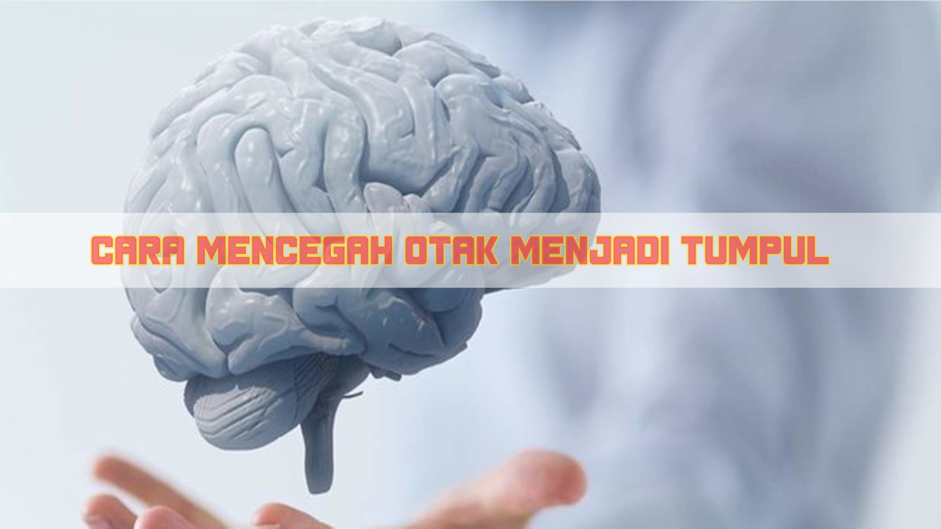 5 Cara Mencegah Otak Menjadi Tumpul