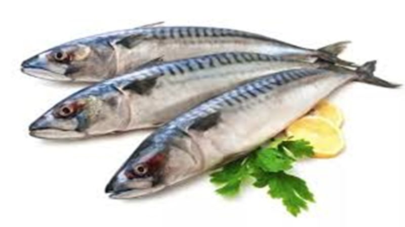 Ikan Tenggiri Bisa Turunkan Kadar Kolesterol