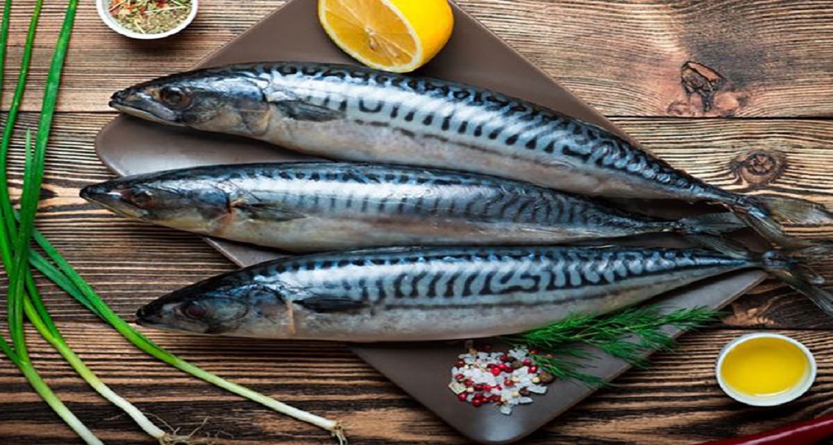 Manfaat Konsumsi Ikan Sarden Untuk Kesehatan