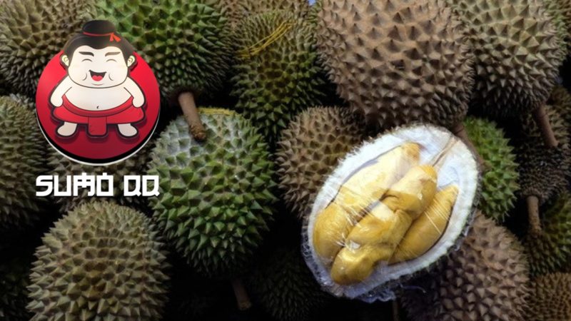 Manfaat Durian Bagi Kesehatan Tubuh