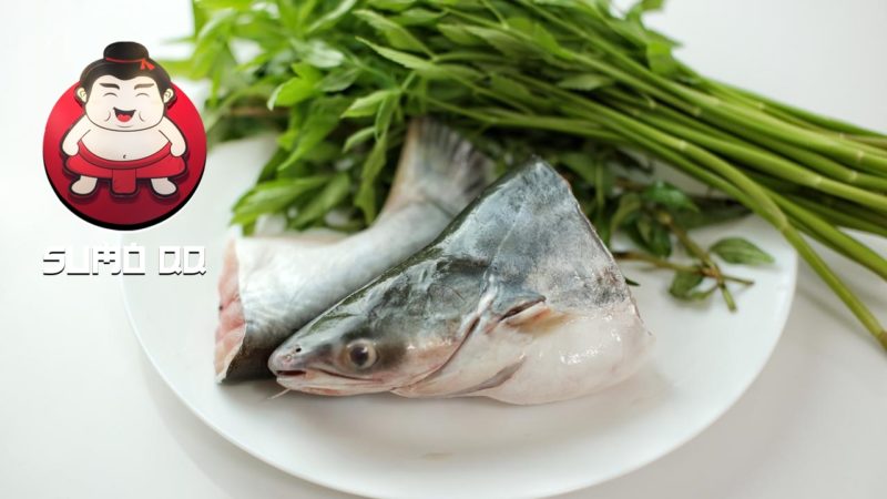Manfaat Ikan Patin bagi Kesehatan Tubuh
