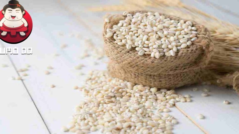 Berbagai Manfaat – Manfaat Barley Untuk Kesehatan