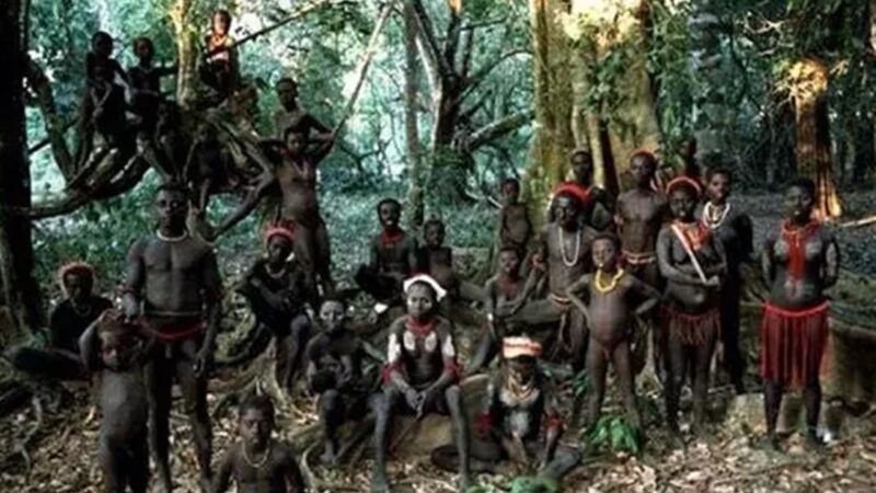Suku Fore Papua Nugini, Suku Yang Memakan Daging Manusia