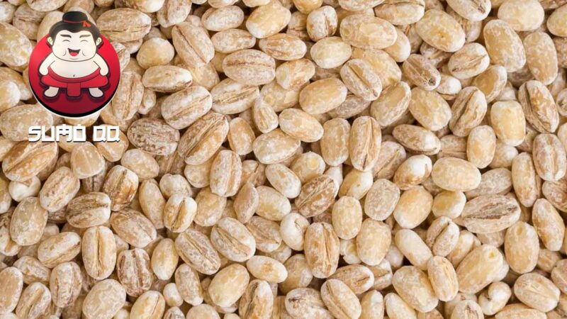 Manfaat Biji Barley untuk Kesehatan