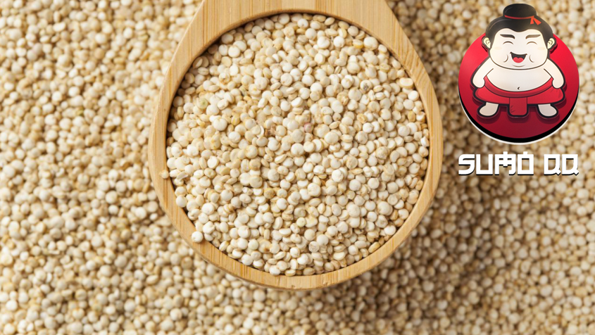 Manfaat Quinoa untuk Kesehatan