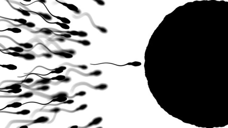 Makanan Alami Tingkatkan Jumlah Sperma pada Pria