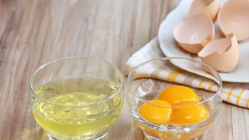 Khasiat Putih Telur Untuk Kandungan Gizinya