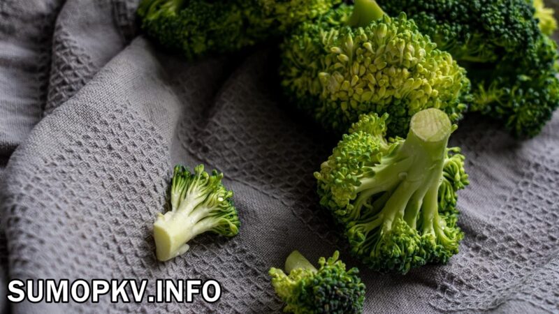 Manfaat Sayur Brokoli bagi Tubuh Bantu Jaga Kesehatan Tulang