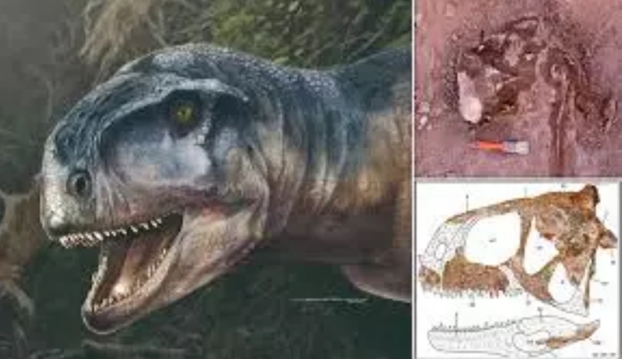 Penemu Fosil dinosaurus Spesies baru Ditemukan di Argentina