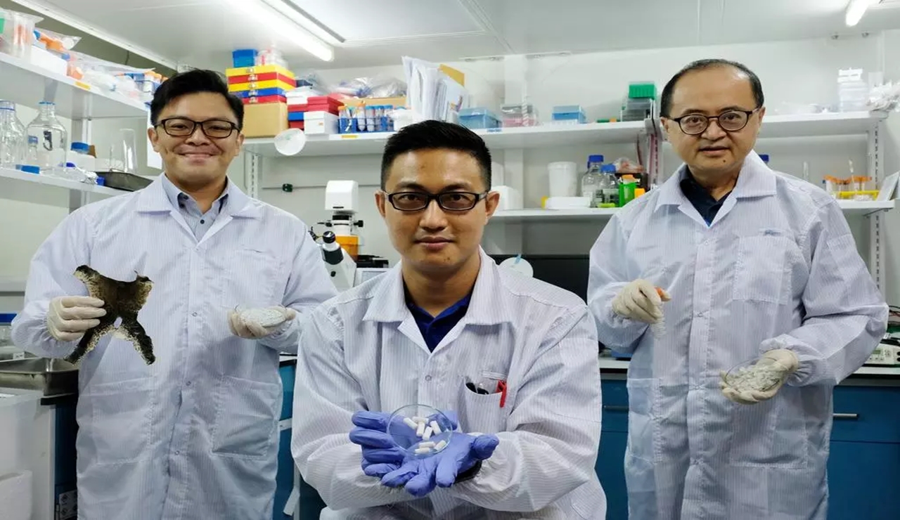 Peneliti di Singapura Berhasil Meregenerasi Tulang