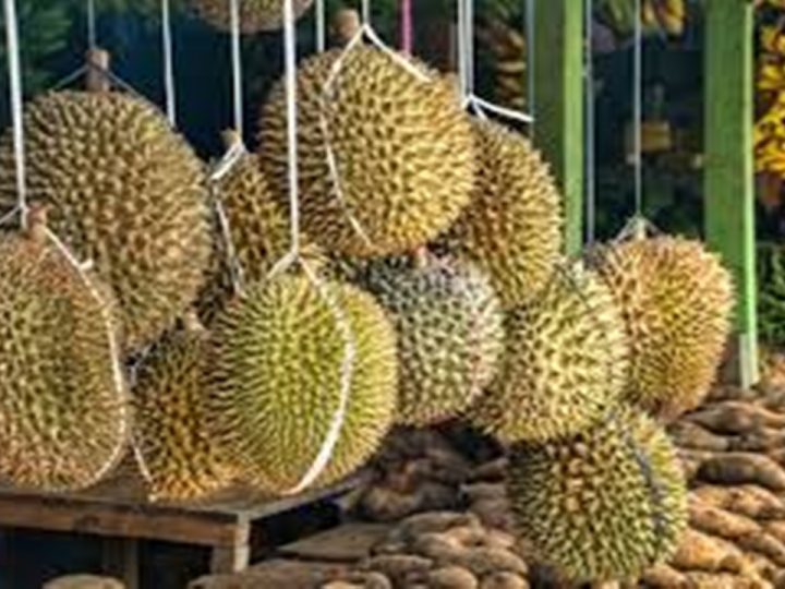 12 Manfaat Buah Durian untuk Kesehatan, Jarang Diketahui