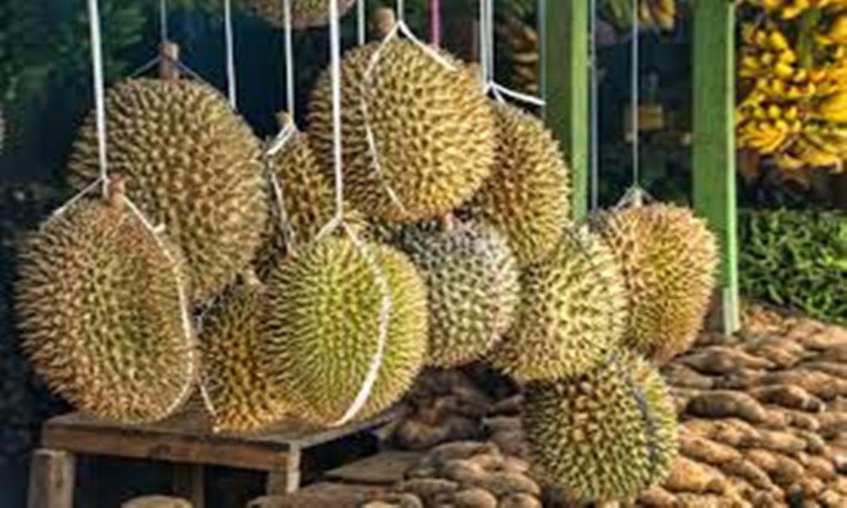 12 Manfaat Buah Durian untuk Kesehatan, Jarang Diketahui