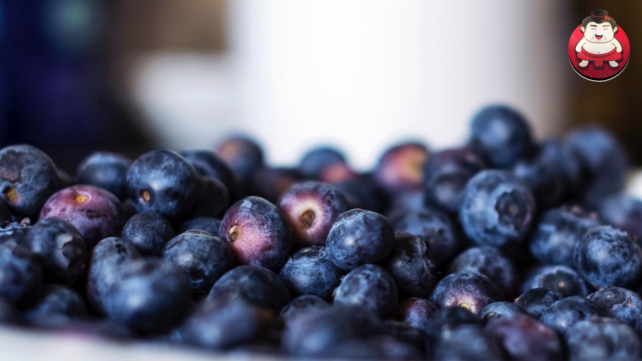 Manfaat Blueberry bagi Kesehatan
