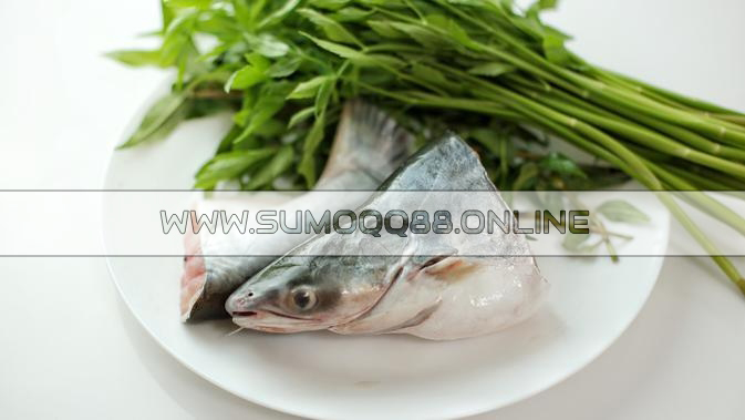 Manfaat Ikan Patin bagi Kesehatan Tubuh