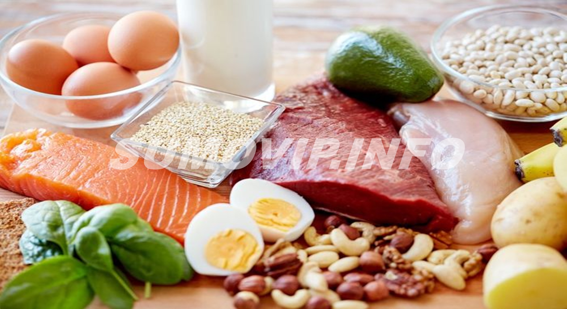 Makanan Yang Mengandung Protein Tinggi