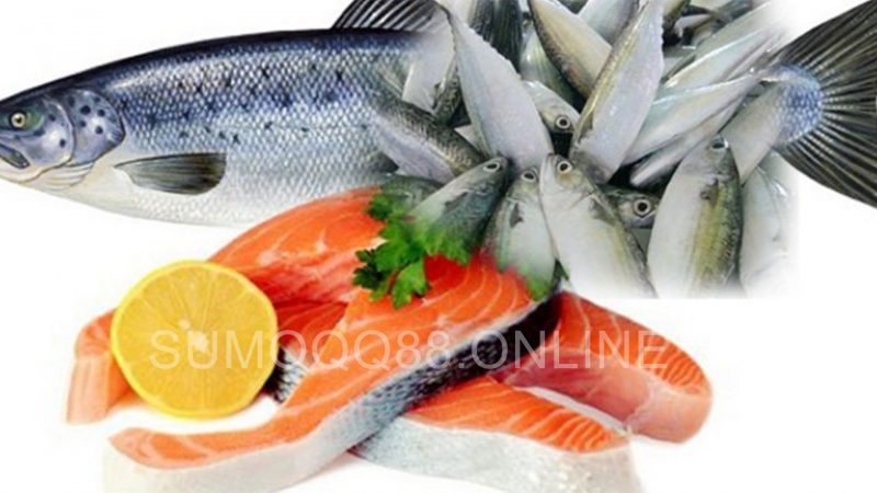Manfaat Ikan Salmon dan Kandungan Gizinya