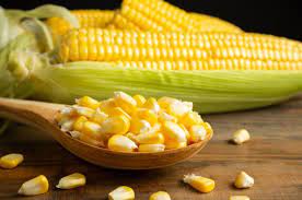 manfaat jagung bagi penderita asam lambung