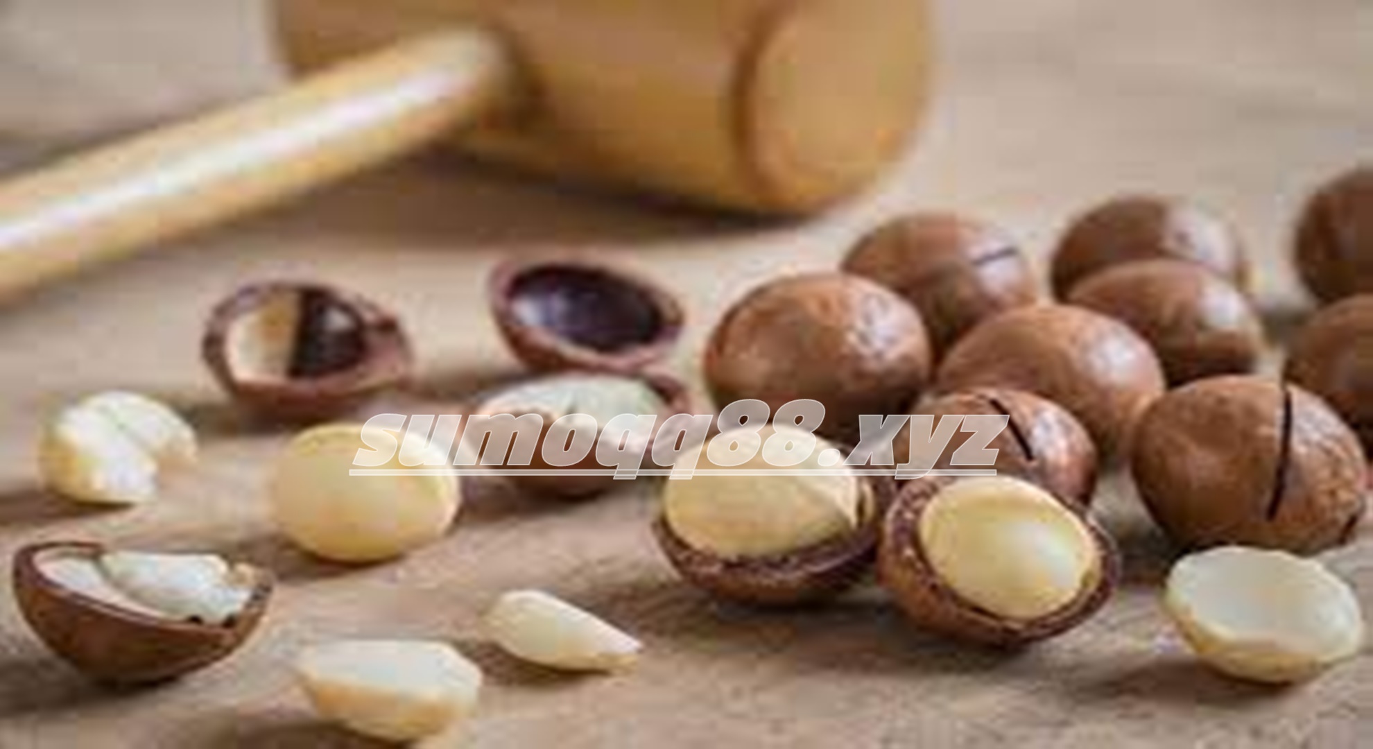 Manfaat Kacang Macadamia untuk Kesehatan