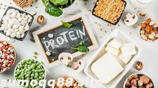 Makanan yang Mengandung Protein Tinggi