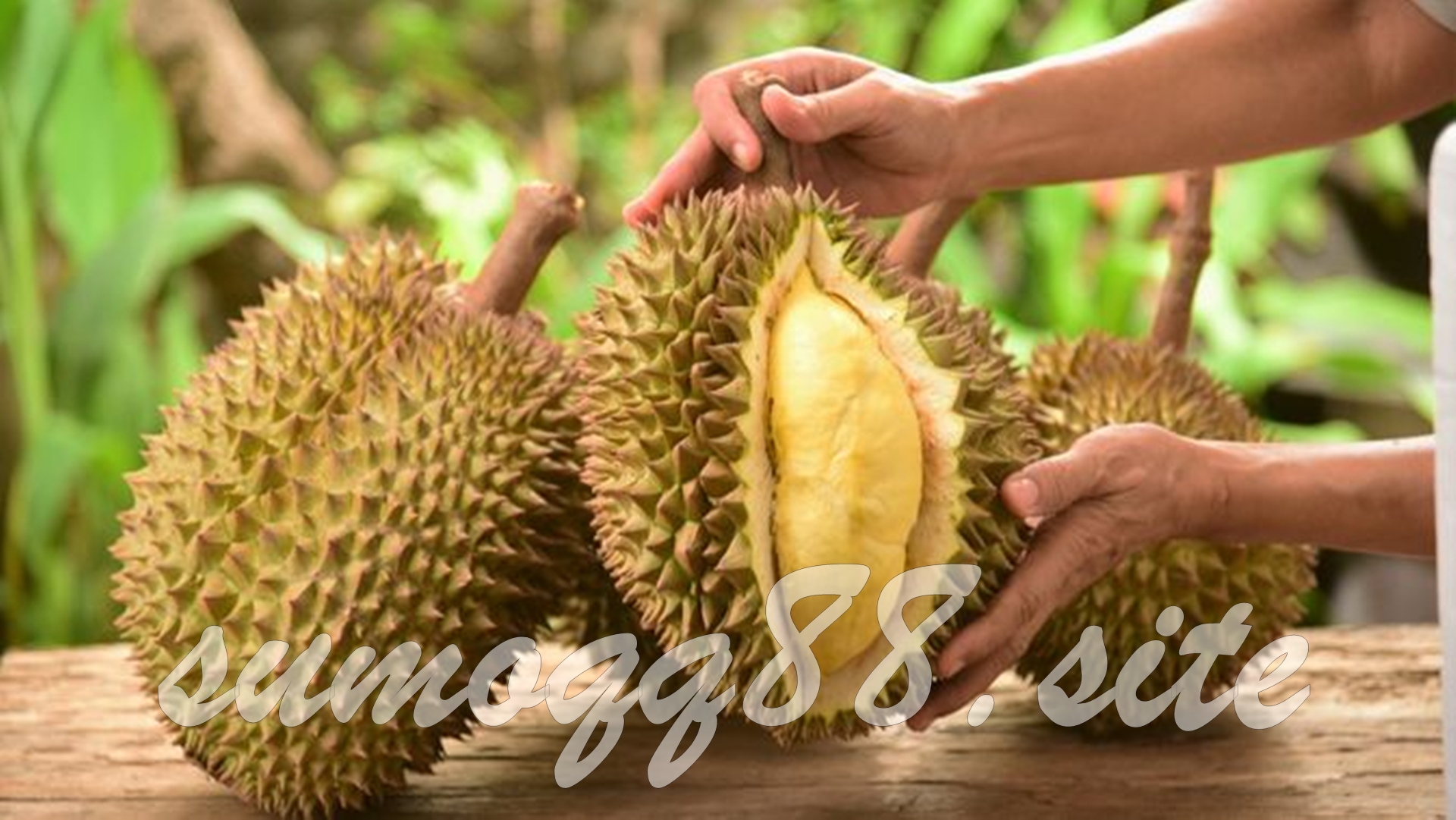 Kandungan Buah Durian untuk Kesehatan