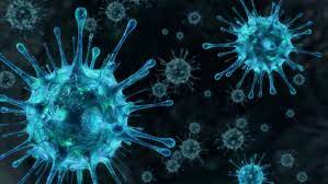 Daftar Virus yang Meningkatkan Risiko Kanker - Info Sehat Klikdokter.com